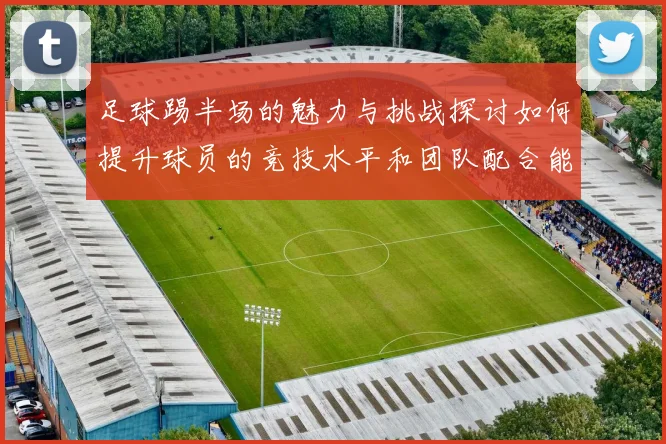 足球踢半场的魅力与挑战探讨如何提升球员的竞技水平和团队配合能力