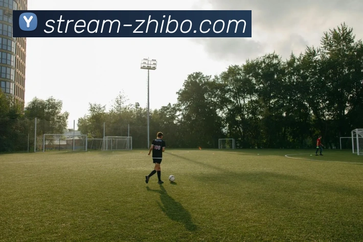 智博体育APP 封面图